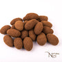 amandelen met melkchocolade en kaneelpoeder coating